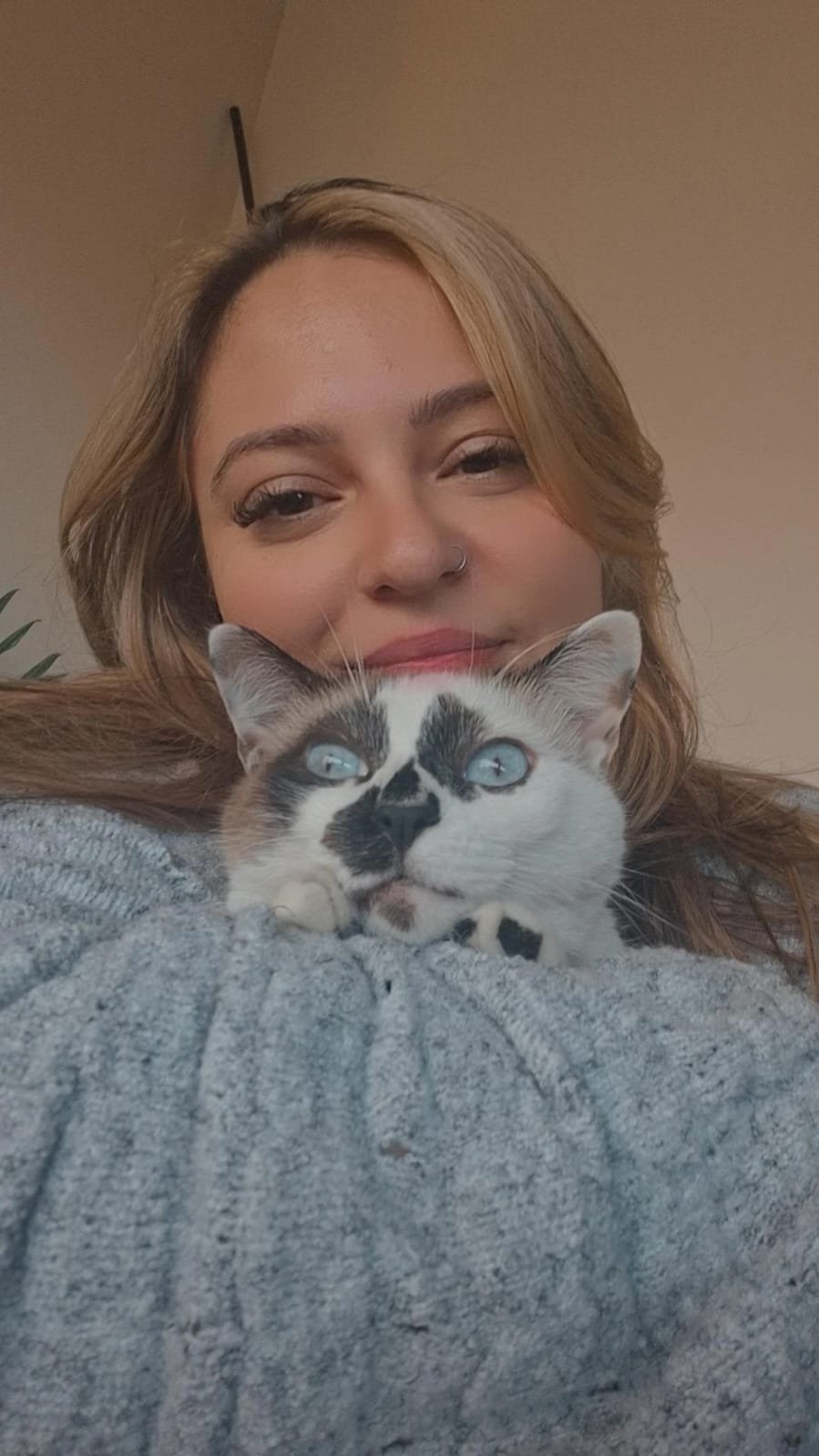 Debora em atendimento veterinário